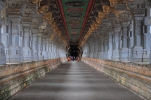 4000 Pillar Corridor