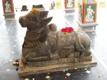 Nandi at Rameshwaram Temple